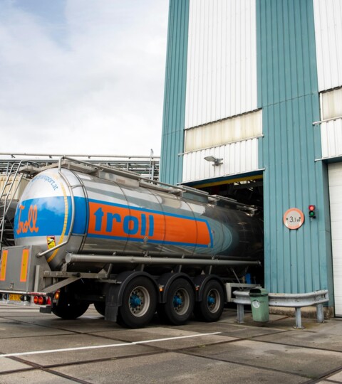 Troll-Home-Timeline-2